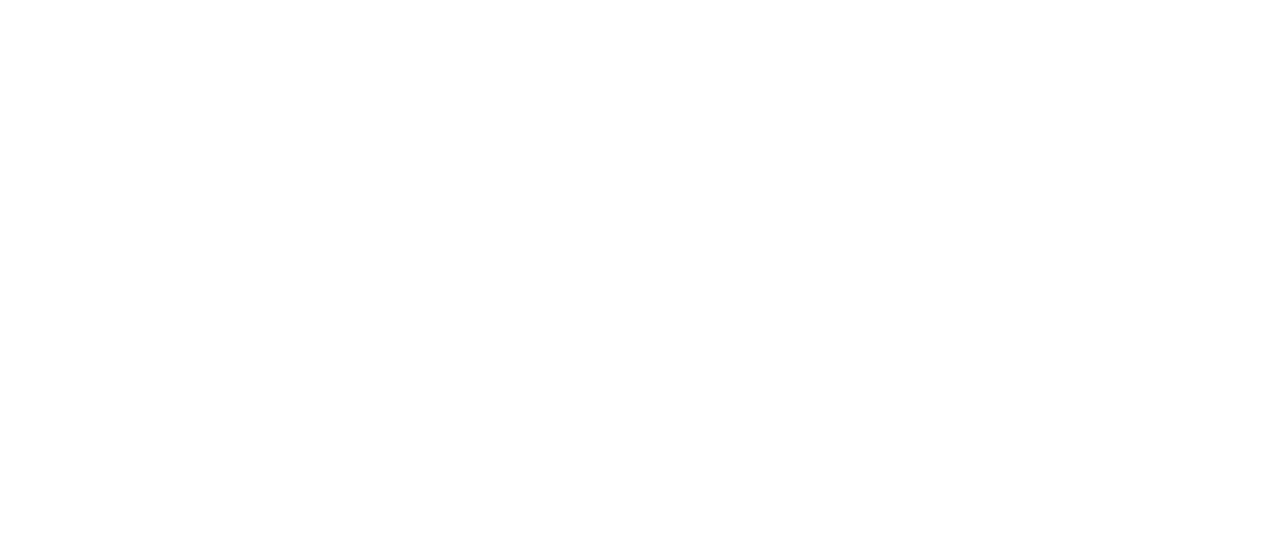 Ian Fee - Header Light Logo